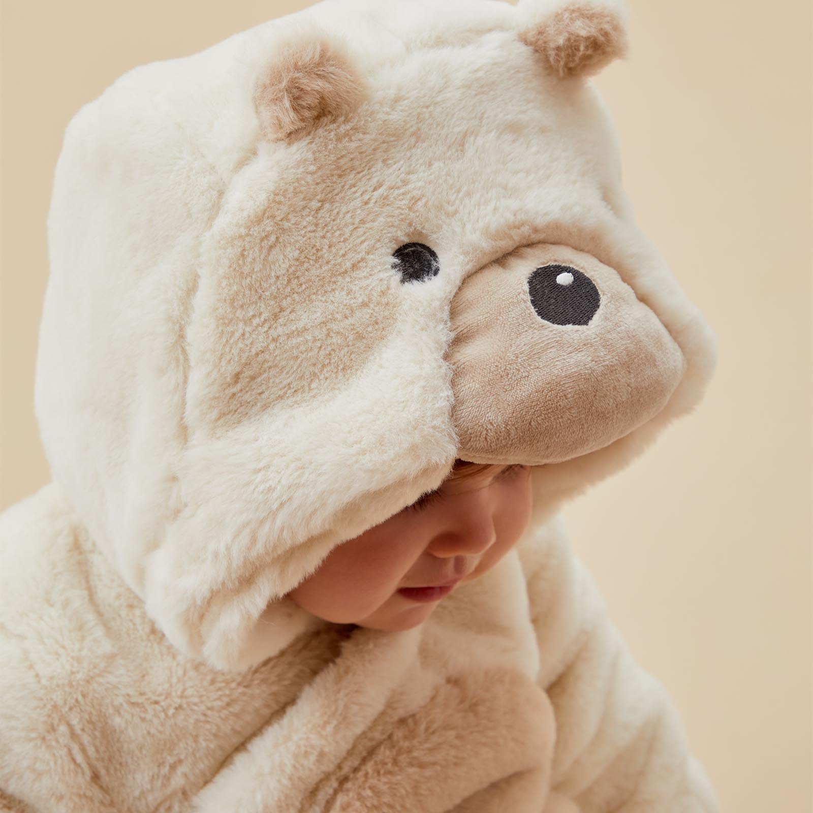 Teddy fashion bear pram suit